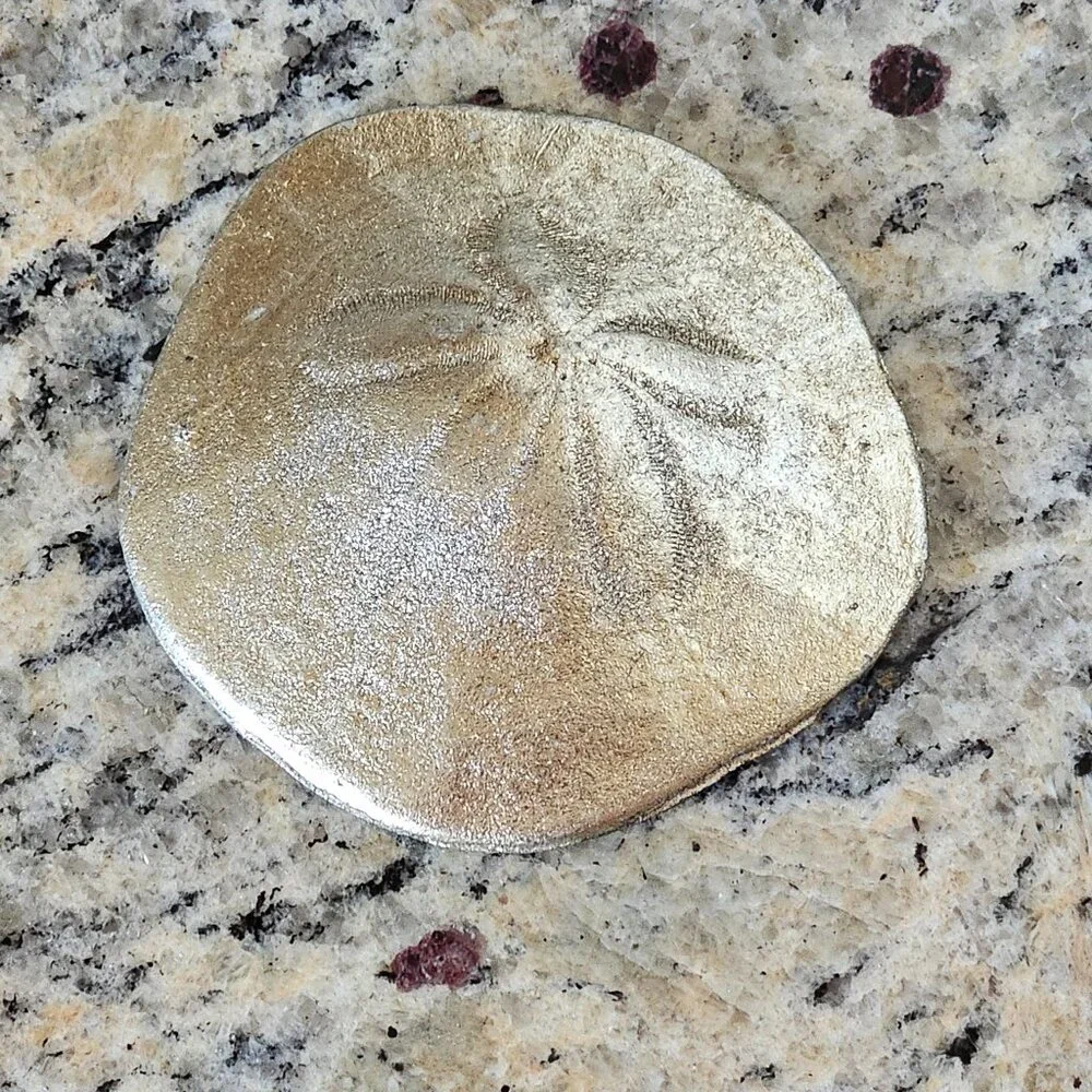 REGINA ANDREW SILVER SAND DOLLAR COASTAL BEACH VASE FILLER HOME TABLE DECOR